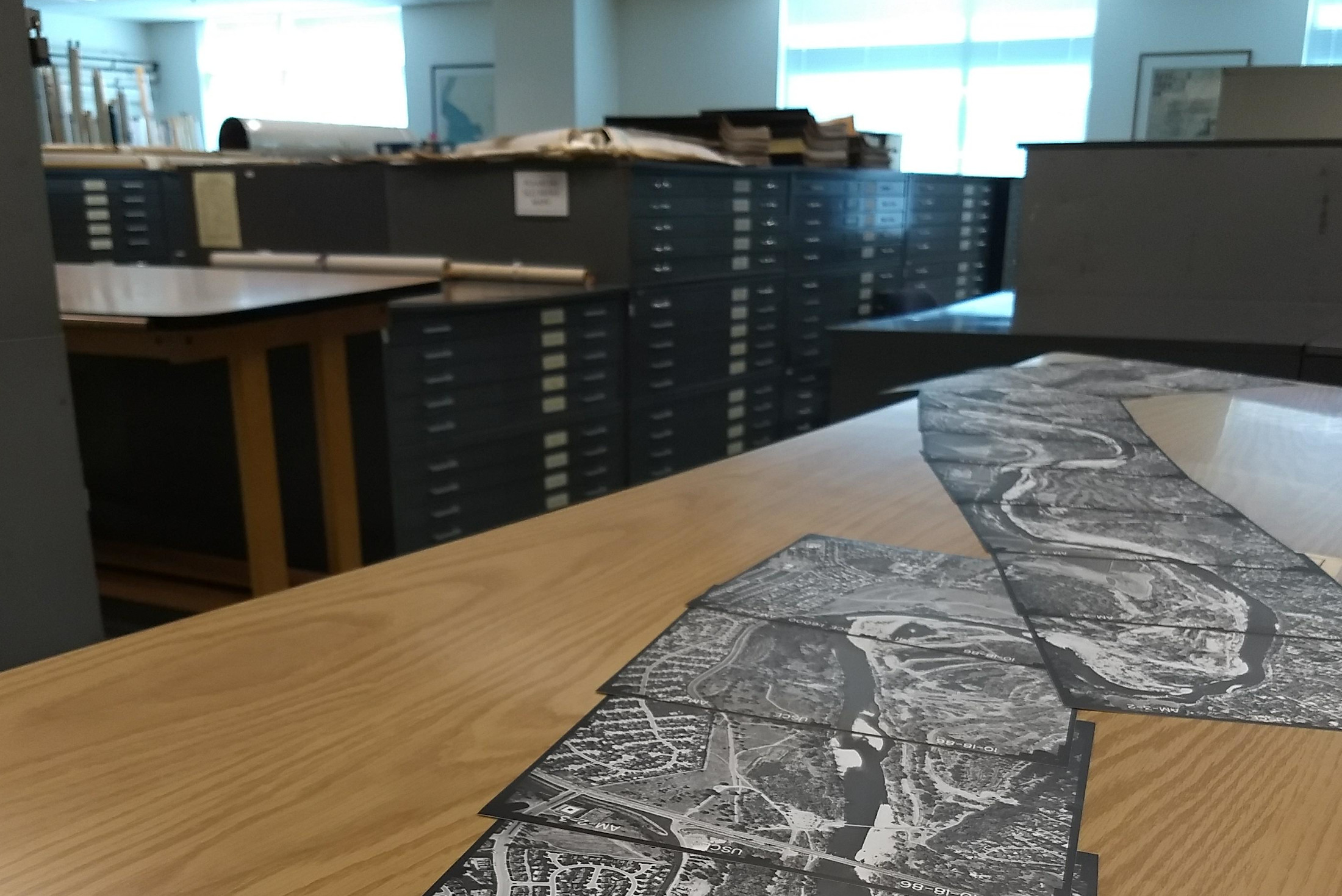QGIS in the Wild with Dr. Michele Tobias