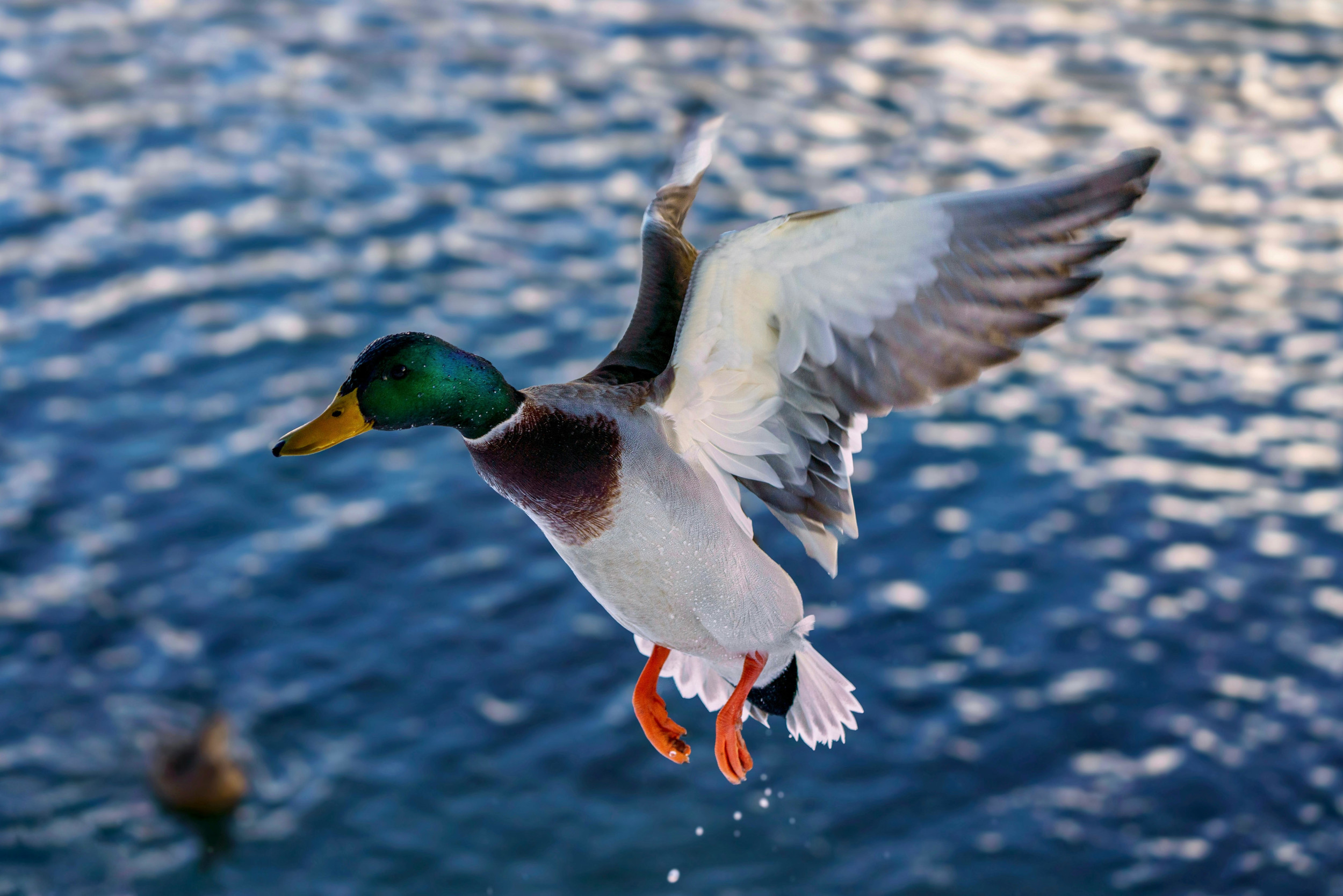 Is Open Source GIS right for your organization? LunaGeo’s 4-Step Process to Open Source GIS Migration